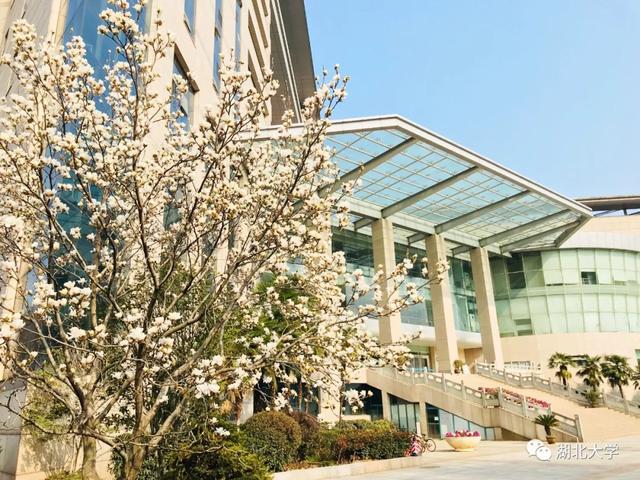 beat365官方网站校长谢红星在学生班会上的特别寄语：热爱生活，珍爱生命